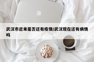 武汉市近来是否还有疫情/武汉现在还有病情吗