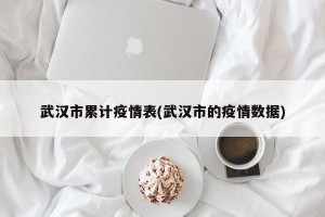 武汉市累计疫情表(武汉市的疫情数据)