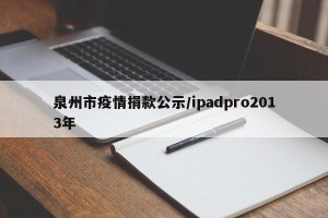 泉州市疫情捐款公示/ipadpro2013年