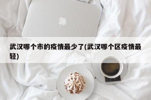 武汉哪个市的疫情最少了(武汉哪个区疫情最轻)